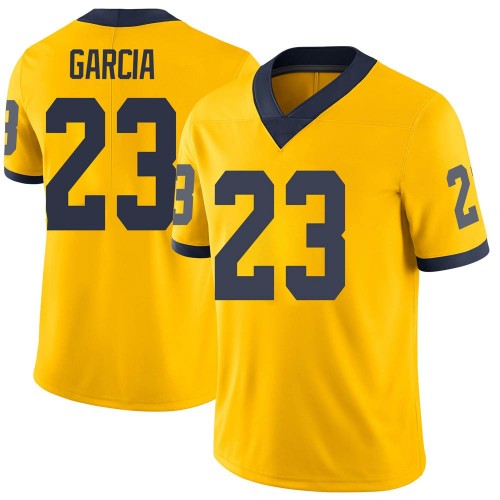 Gaige Garcia Michigan Wolverines Youth NCAA #23 Maize Limited Brand Jordan College Stitched Football Jersey MAI5654RK